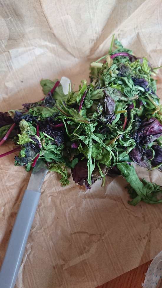 Forno Gusto,Bordeaux,33000,Nouvelle-Aquitaine,France