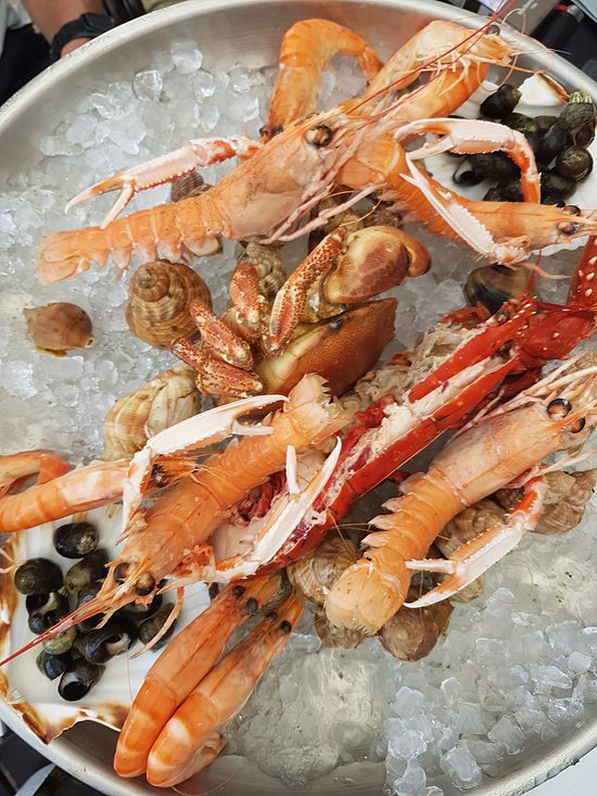 Coquillages crustacés,Andernos-les-Bains,33510,Nouvelle-Aquitaine,France