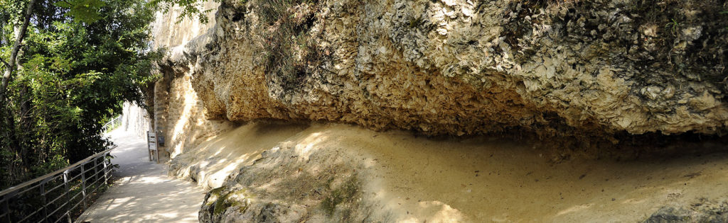 Les falaises d'huîtres fossilisées,Sainte-Croix-du-Mont,33410,Nouvelle-Aquitaine,France