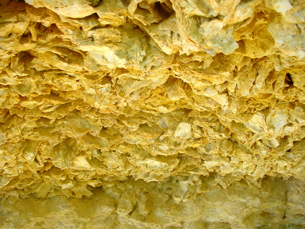 Les falaises d'huîtres fossilisées,Sainte-Croix-du-Mont,33410,Nouvelle-Aquitaine,France