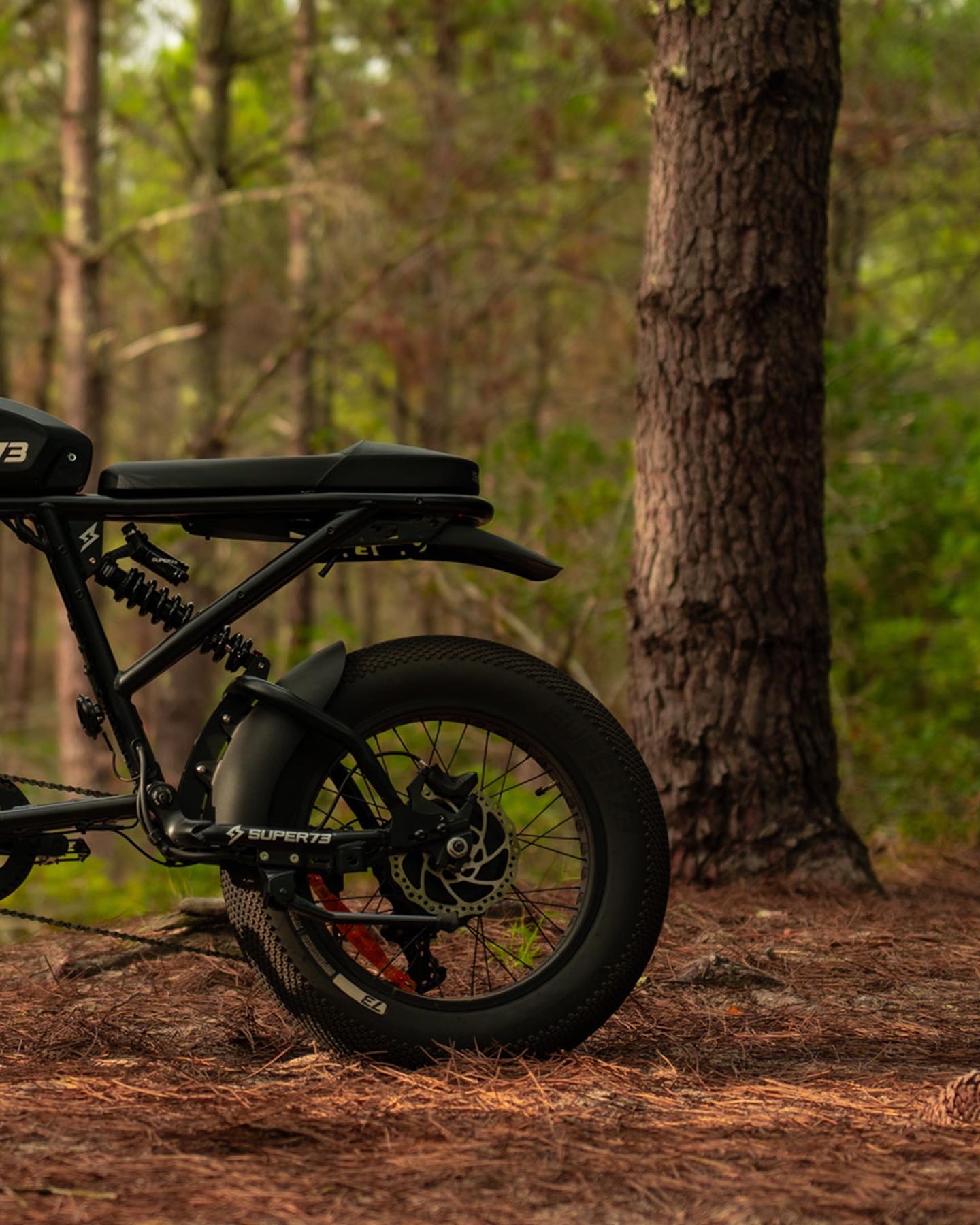 Ride On Experience,Bordeaux,33000,Nouvelle-Aquitaine,France