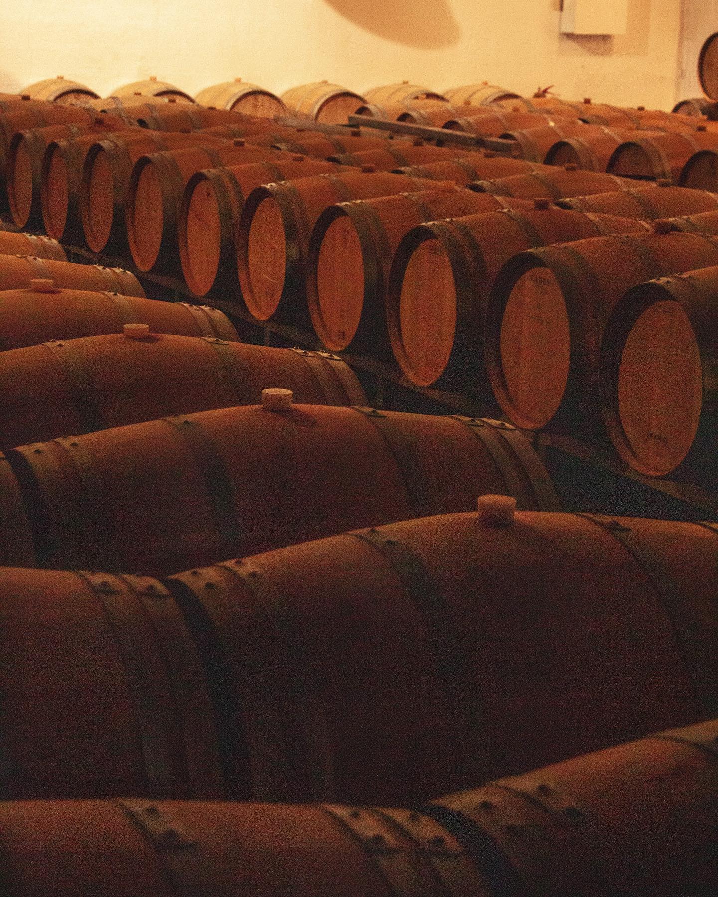 Rustic Vines,Bordeaux,33000,Nouvelle-Aquitaine,France