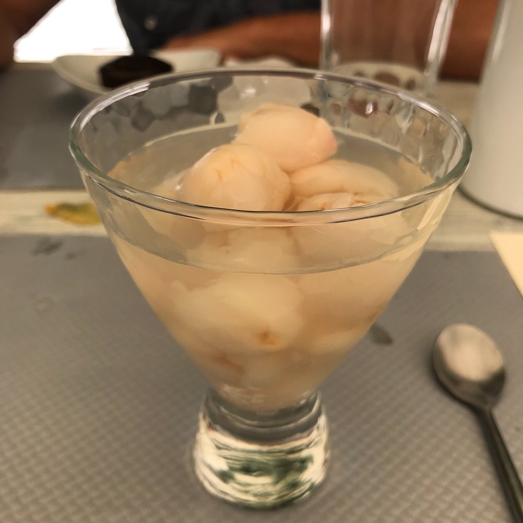 Dynastie Qiang,Pessac,33600,Nouvelle-Aquitaine,France