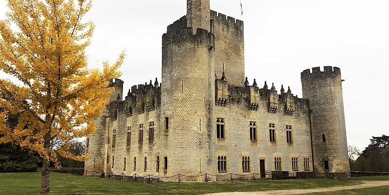 Château Fort de Roquetaillade,Mazères,33210,Nouvelle-Aquitaine,France