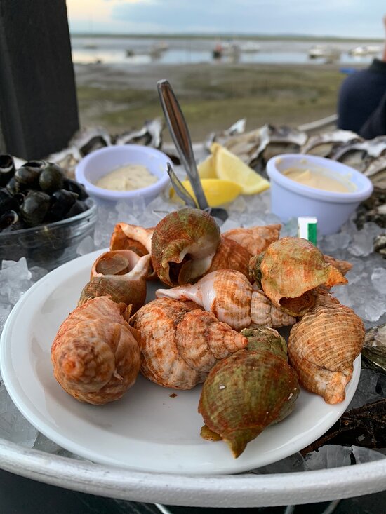 Chez TT,Lège-Cap-Ferret,33950,Nouvelle-Aquitaine,France