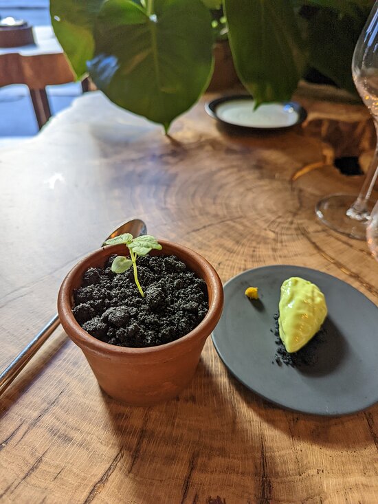 Son' Restaurant,Bordeaux,33000,Nouvelle-Aquitaine,France