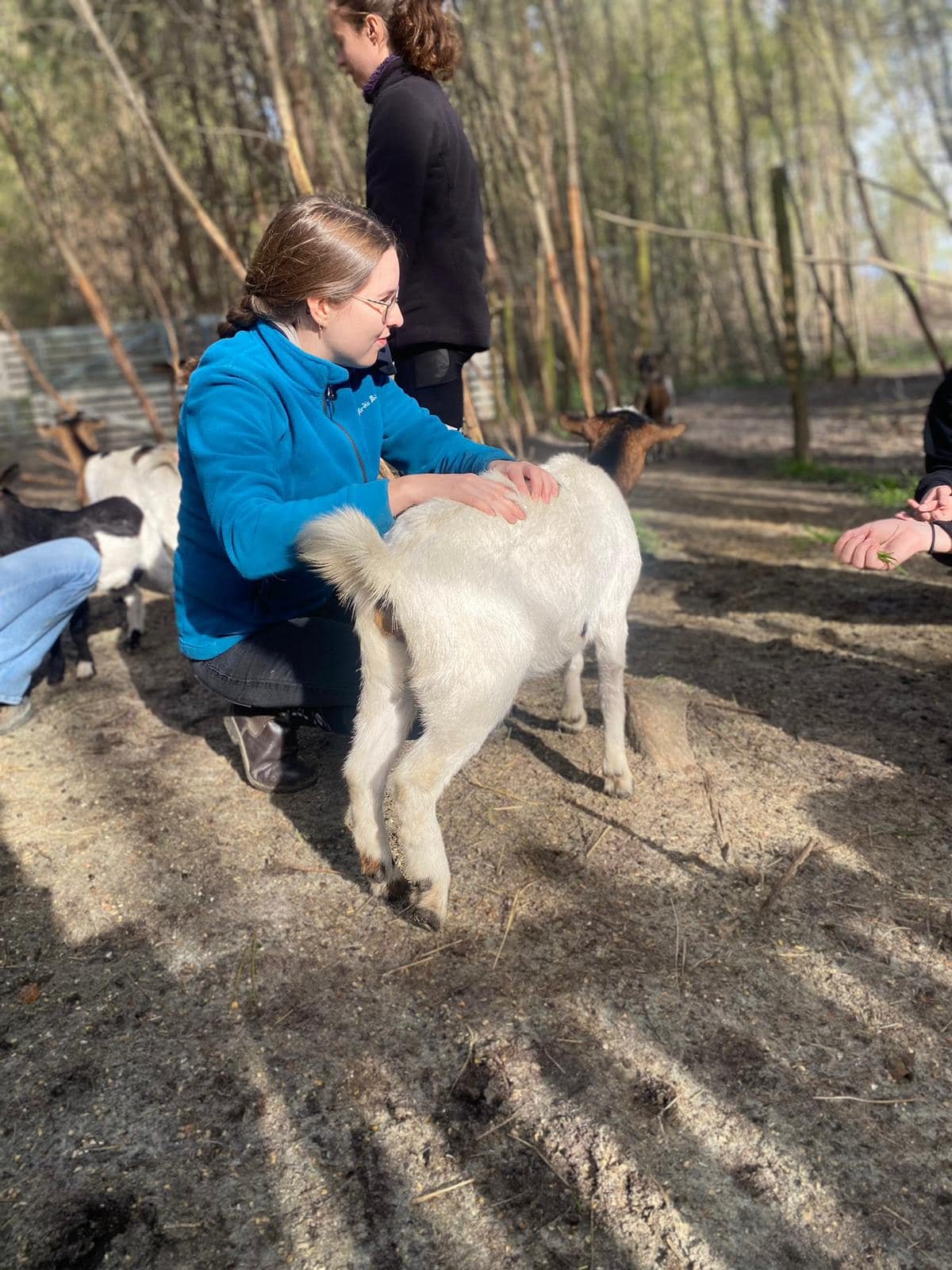 Parc Animalier Sud Gironde,Landiras,33720,Nouvelle-Aquitaine,France