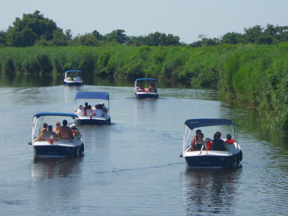 Ecoplaisance du Delta,Le Teich,33470,Nouvelle-Aquitaine,France