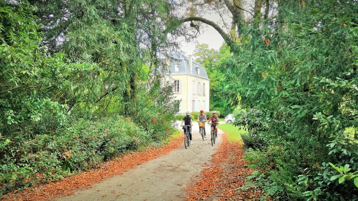 Ateliers au Château,Bordeaux,40550,Nouvelle-Aquitaine,France