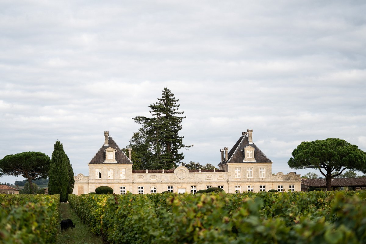 Château de Cérons,Cérons,33720,Nouvelle-Aquitaine,France