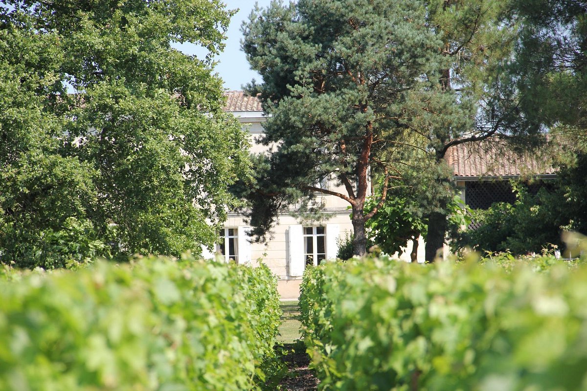 Chateau Baudan,Listrac-Médoc,33480,Nouvelle-Aquitaine,France