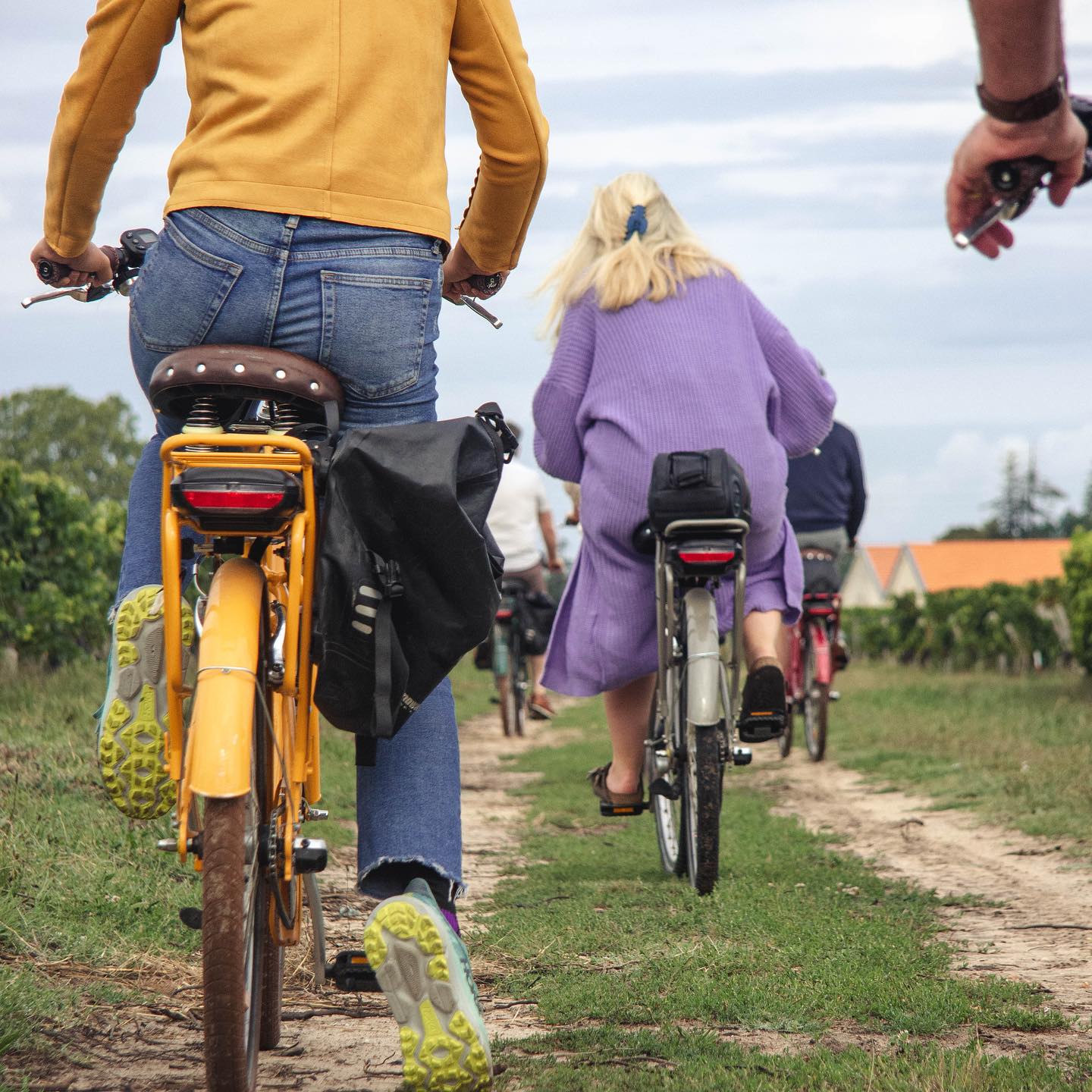 Rustic Vines,Bordeaux,33000,Nouvelle-Aquitaine,France