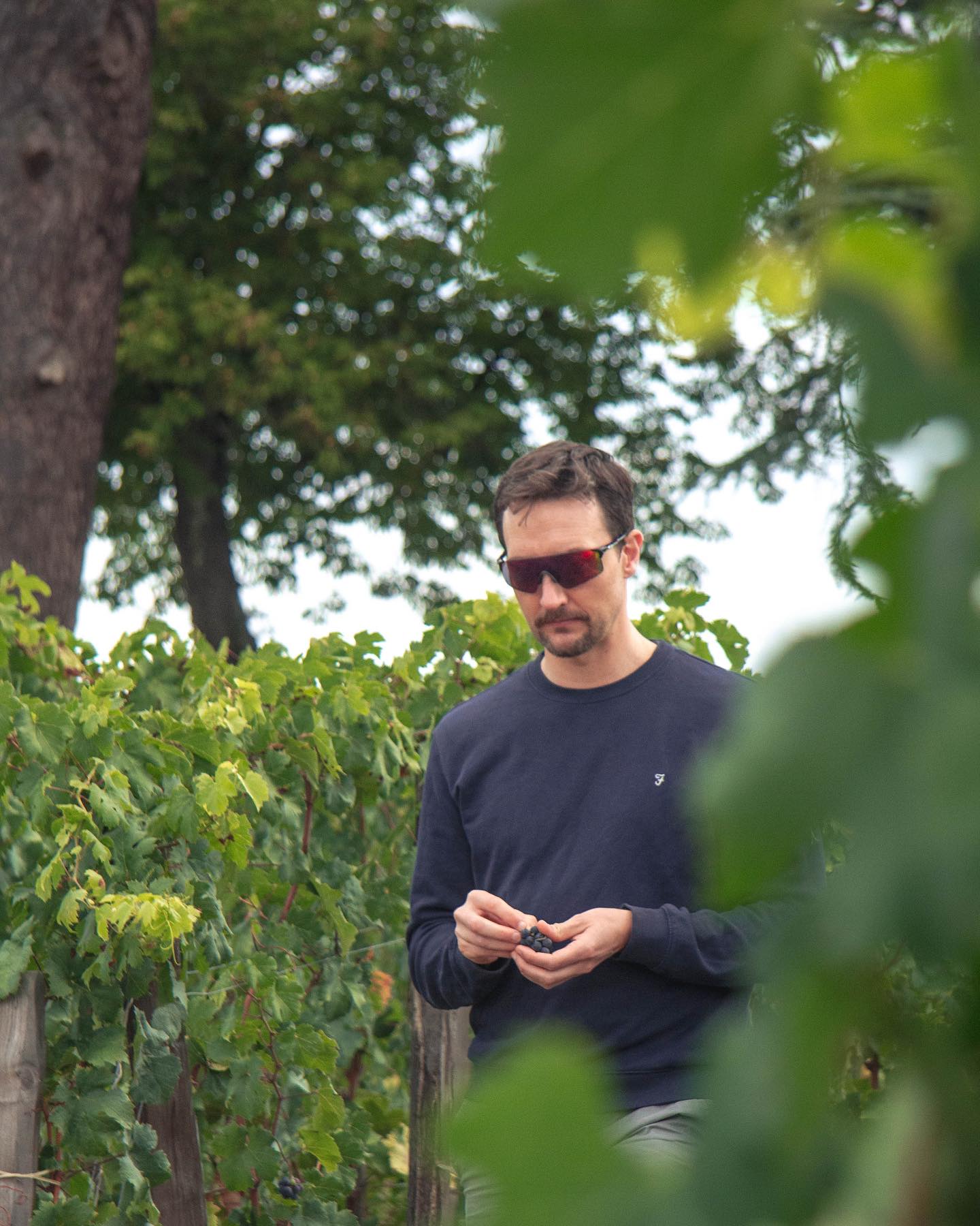 Rustic Vines,Bordeaux,33000,Nouvelle-Aquitaine,France