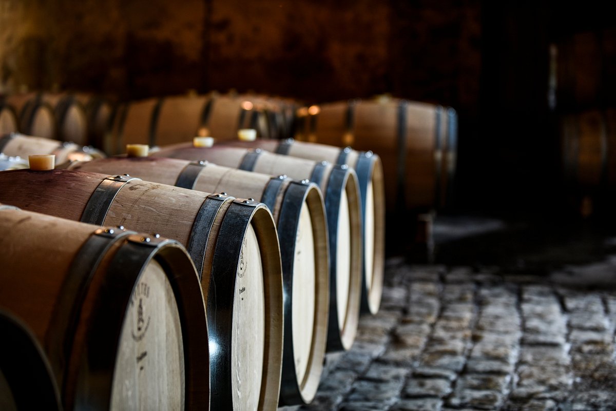 Château de Cérons,Cérons,33720,Nouvelle-Aquitaine,France