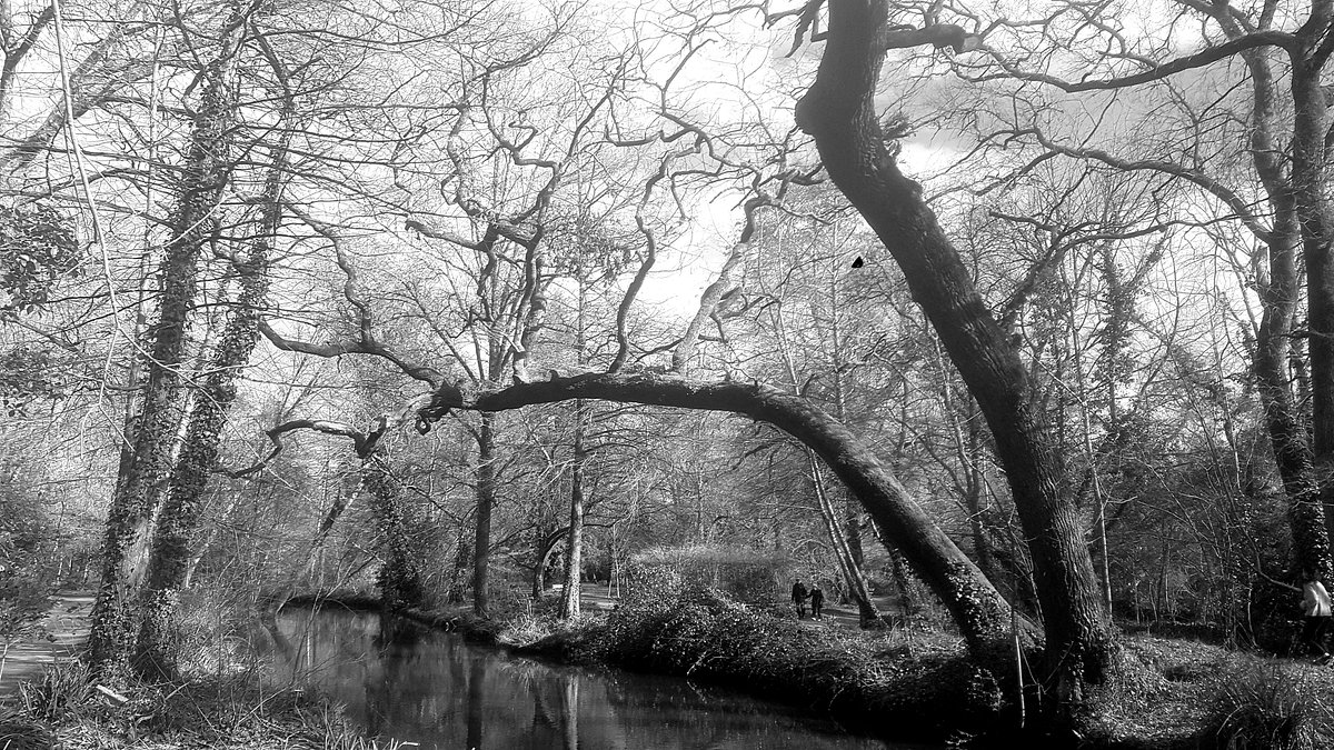 Prieuré de Cayac,Gradignan,33170,Nouvelle-Aquitaine,France