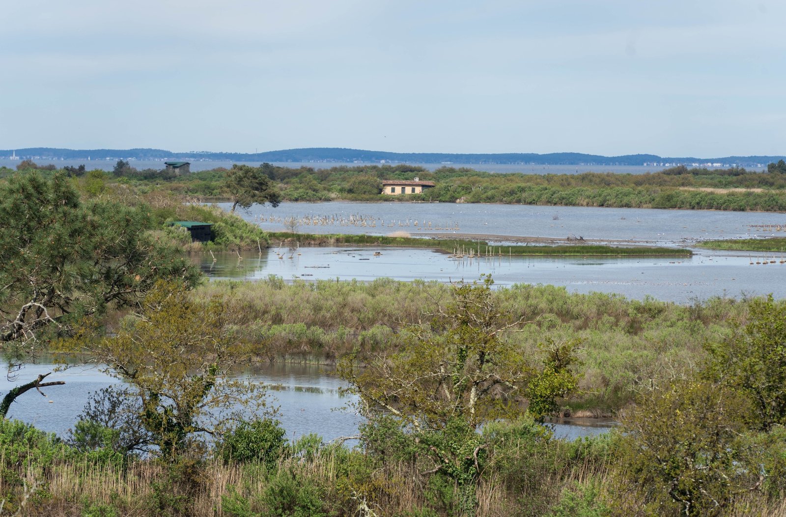 le Parc Ornithologique du Teich,Le Teich,33470,Nouvelle-Aquitaine,France