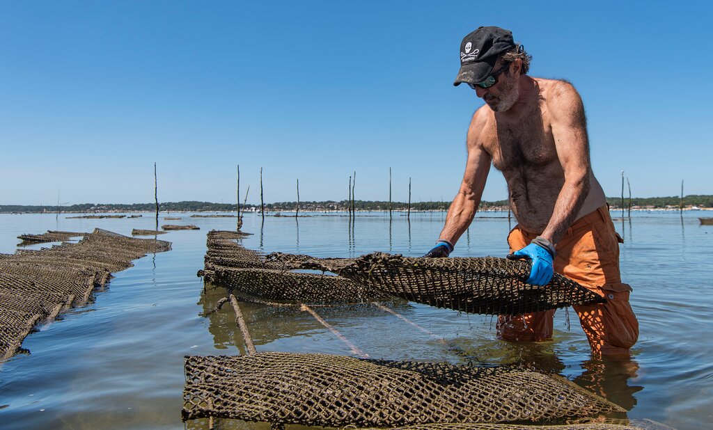Chez Rémi & Christine Cabane 48,Andernos-les-Bains,33510,Nouvelle-Aquitaine,France