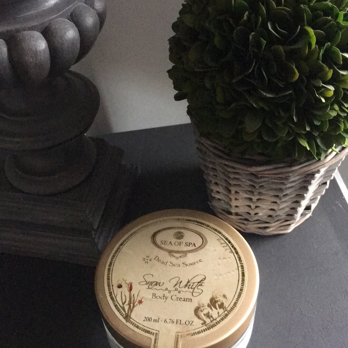 Institut de beauté de la Mer Morte,Bordeaux,33000,Nouvelle-Aquitaine,France