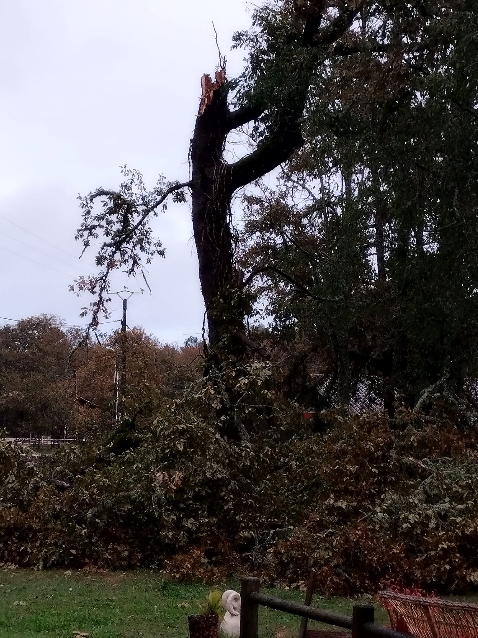 La cuillère à Pot de Chez Billïou,Origne,33113,Nouvelle-Aquitaine,France