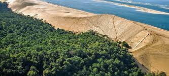 La Dune du Pilat,La Teste-de-Buch,33300,Nouvelle-Aquitaine,France