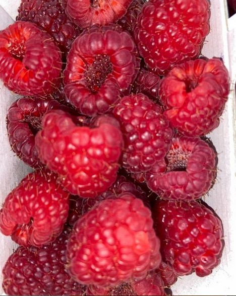 Un primeur et épicerie fine,Belin-Béliet,33830,Nouvelle-Aquitaine,France