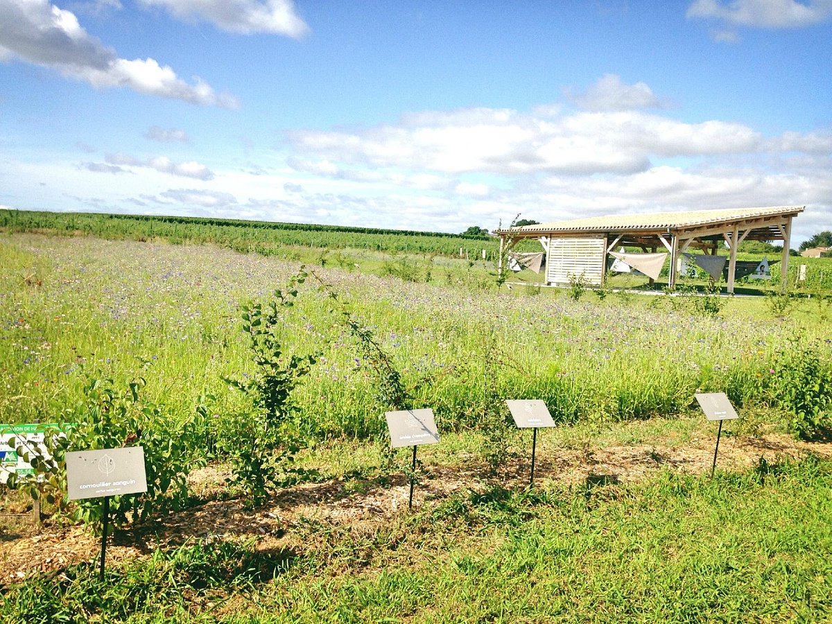 Les Vignerons de Tutiac,Val-de-Livenne,33860,Nouvelle-Aquitaine,France