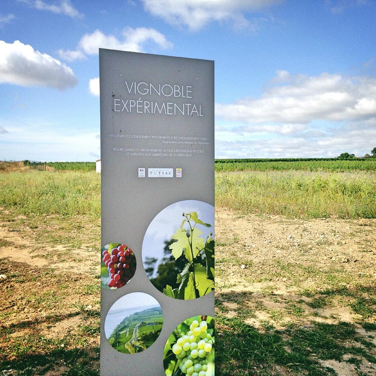 Les Vignerons de Tutiac,Val-de-Livenne,33860,Nouvelle-Aquitaine,France