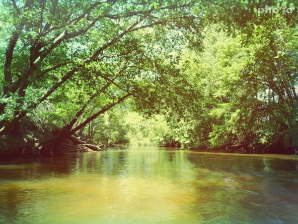 Location Canoë Mios Le Teich – « La petite expédition » – 1h30 à 2h,Le Teich,33470,Nouvelle-Aquitaine,France