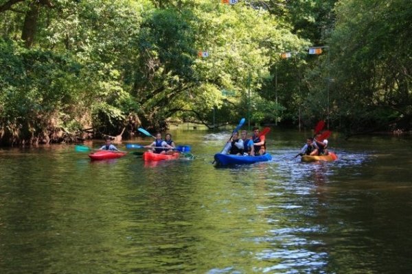 Location Canoë Mios Le Teich – « La petite expédition » – 1h30 à 2h,Le Teich,33470,Nouvelle-Aquitaine,France