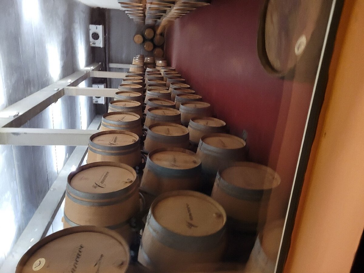 Château Marquis de Vauban,Blaye,33390,Nouvelle-Aquitaine,France