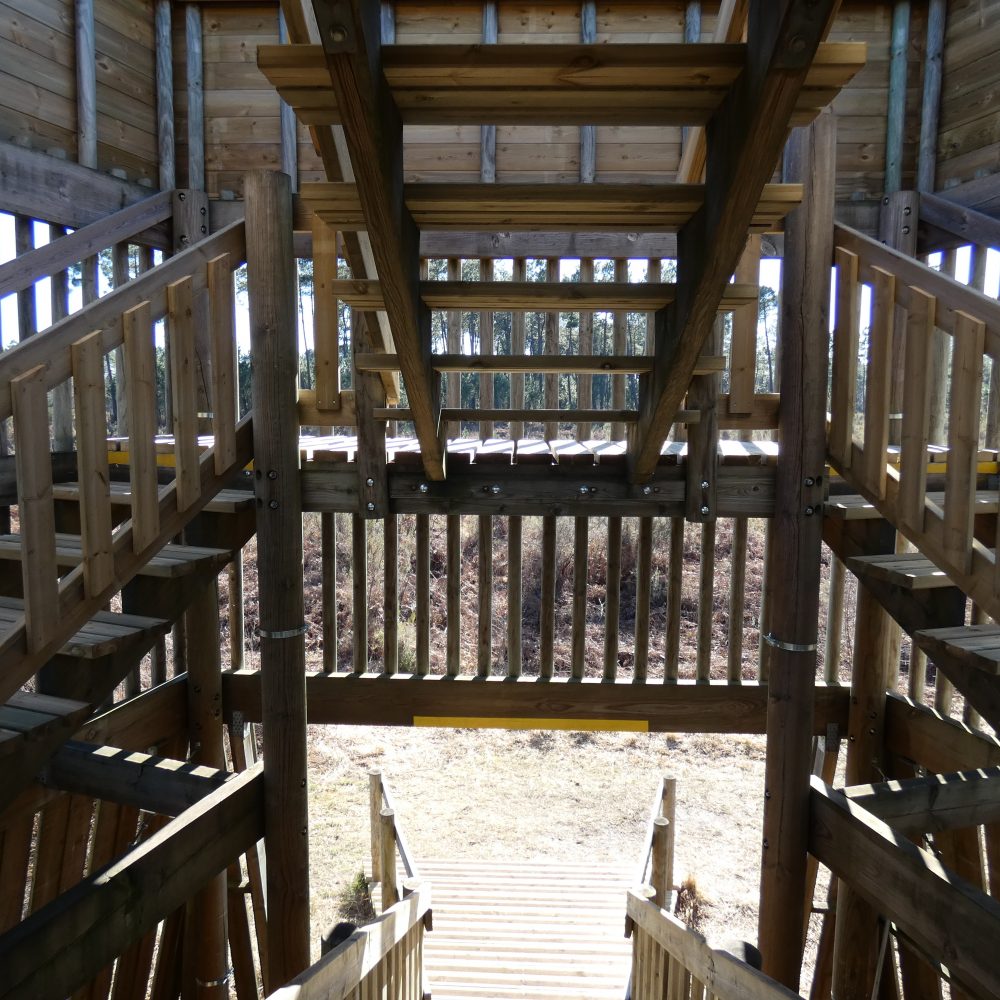 LAGUNES DU GÂT MORT,Louchats,33125,Nouvelle-Aquitaine,France