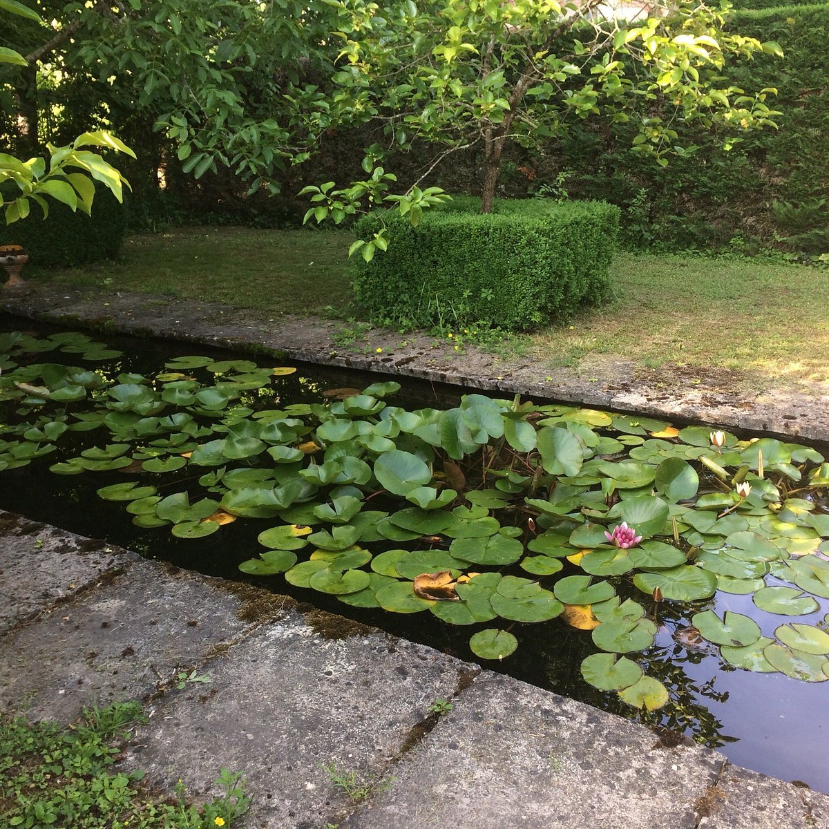 Château de Malleret,Cadaujac,33140,Nouvelle-Aquitaine,France