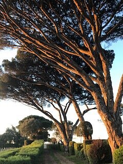 Château Chasse-Spleen,Moulis-en-Médoc,33480,Nouvelle-Aquitaine,France