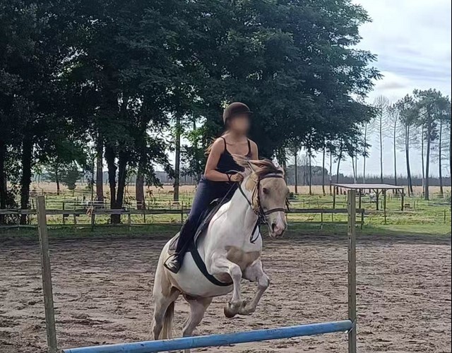 Structure équestre à Hostens situé dans le Sud de la Gironde,Hostens,33125,Nouvelle-Aquitaine,France