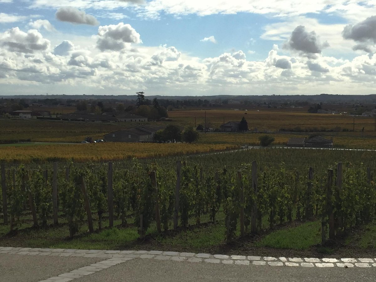 Château Fonplégade,Saint-Émilion,33330,Nouvelle-Aquitaine,France