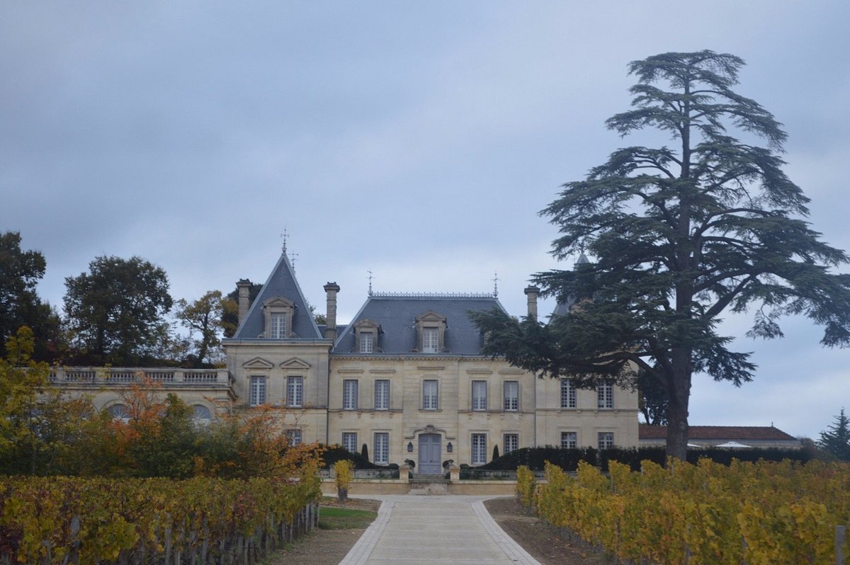 Château Fonplégade,Saint-Émilion,33330,Nouvelle-Aquitaine,France