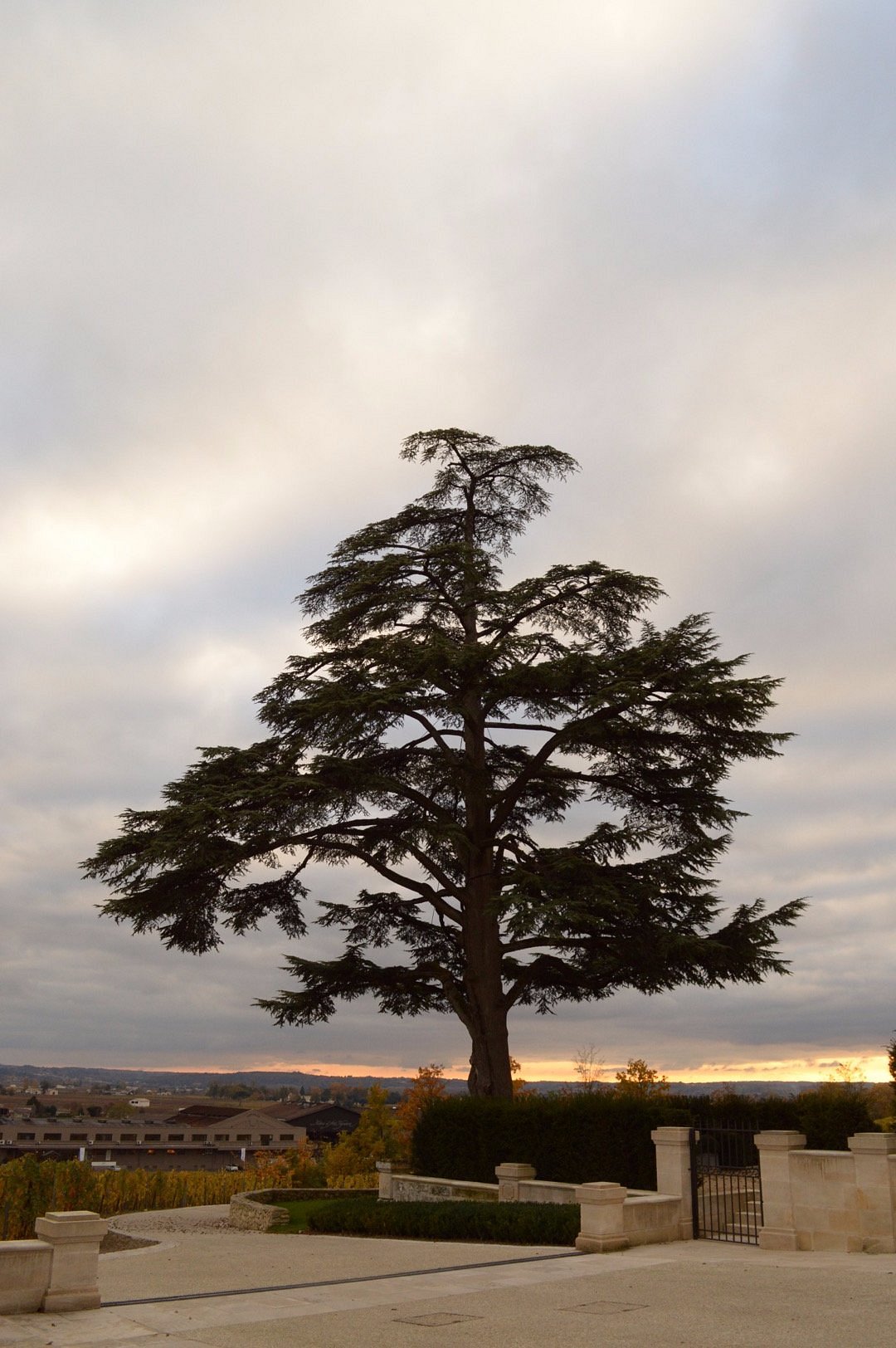 Château Fonplégade,Saint-Émilion,33330,Nouvelle-Aquitaine,France