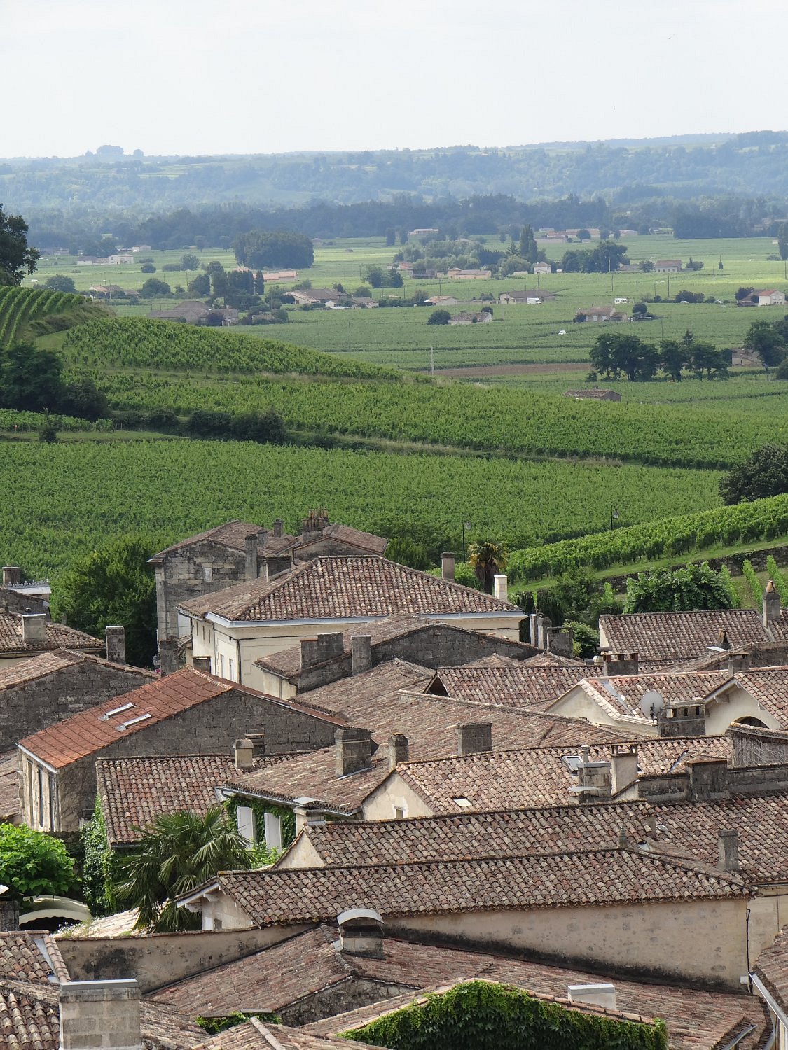 Clocher de l'Eglise Monolithe,Saint-Émilion,33330,Nouvelle-Aquitaine,France