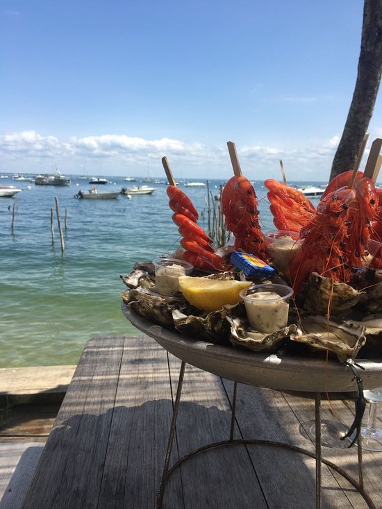 La Cabane des Kykouyou,Lège-Cap-Ferret,33950,Nouvelle-Aquitaine,France